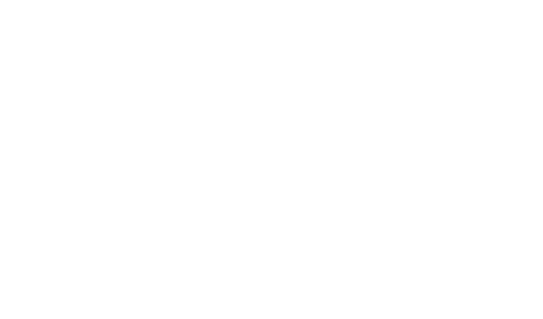 Marquis Visuals , a chatbot developer