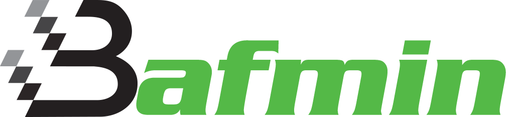Bafmin LLC, a chatbot developer