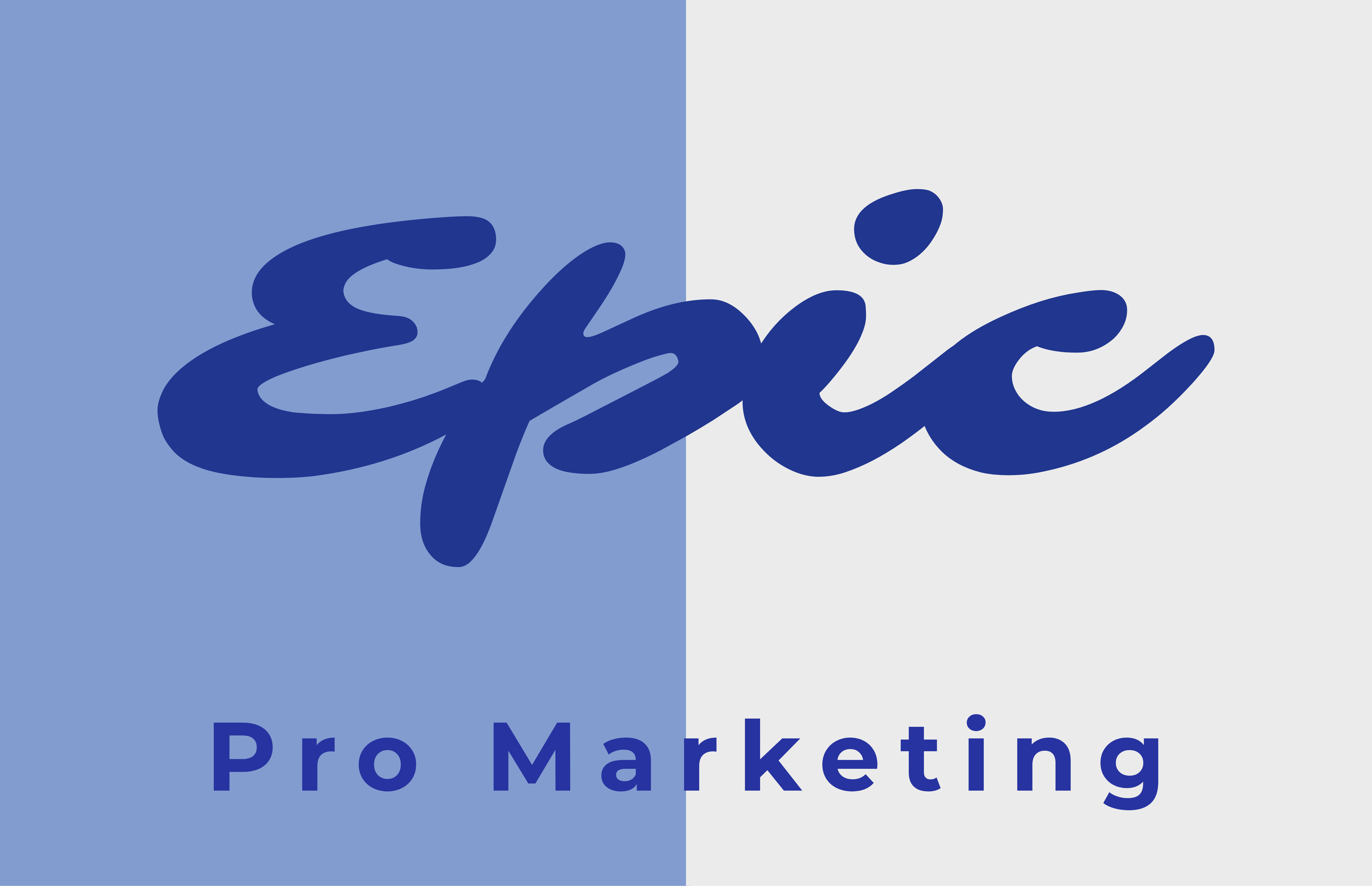 Epic Pro Marketing, a chatbot developer