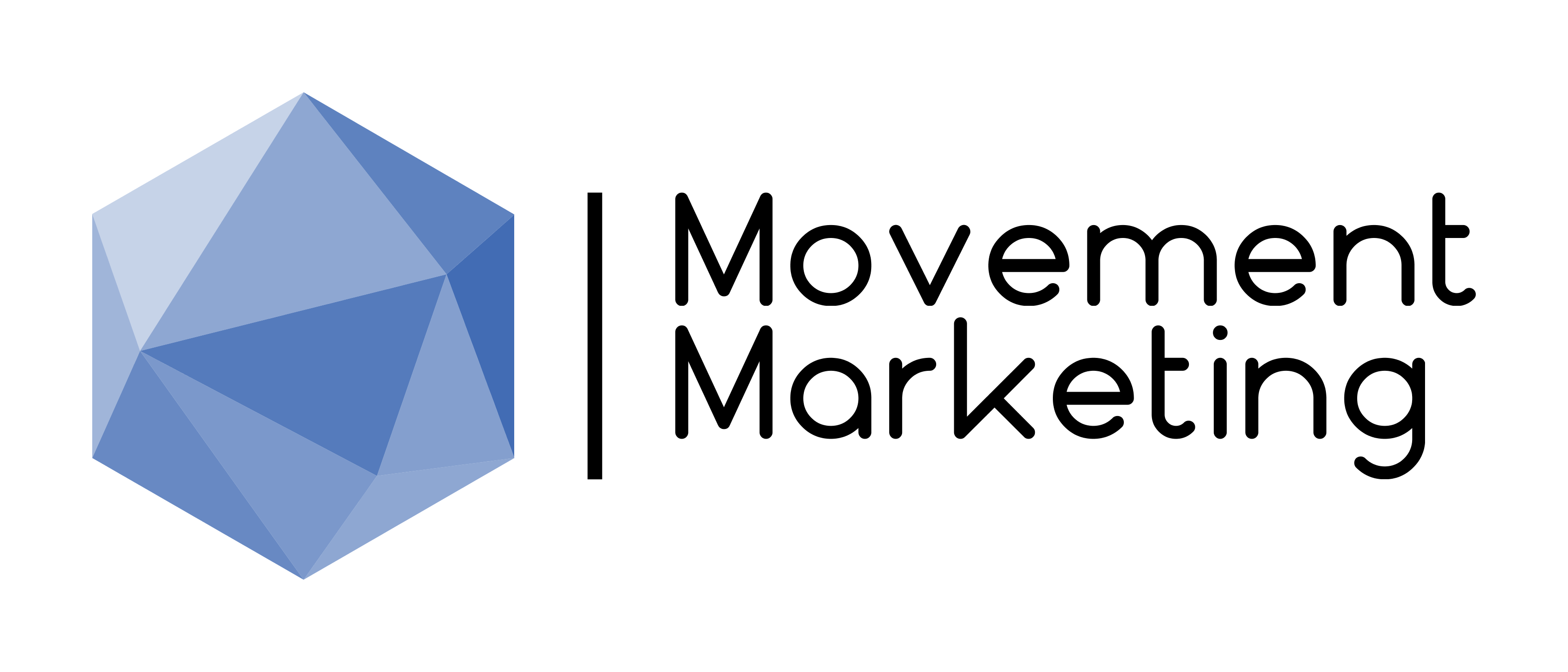Movement Marketing, a chatbot developer
