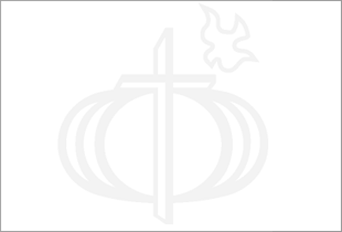 Alvin Paul Marketing, a chatbot developer