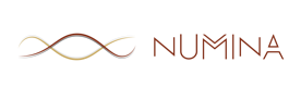 Numina, a chatbot developer