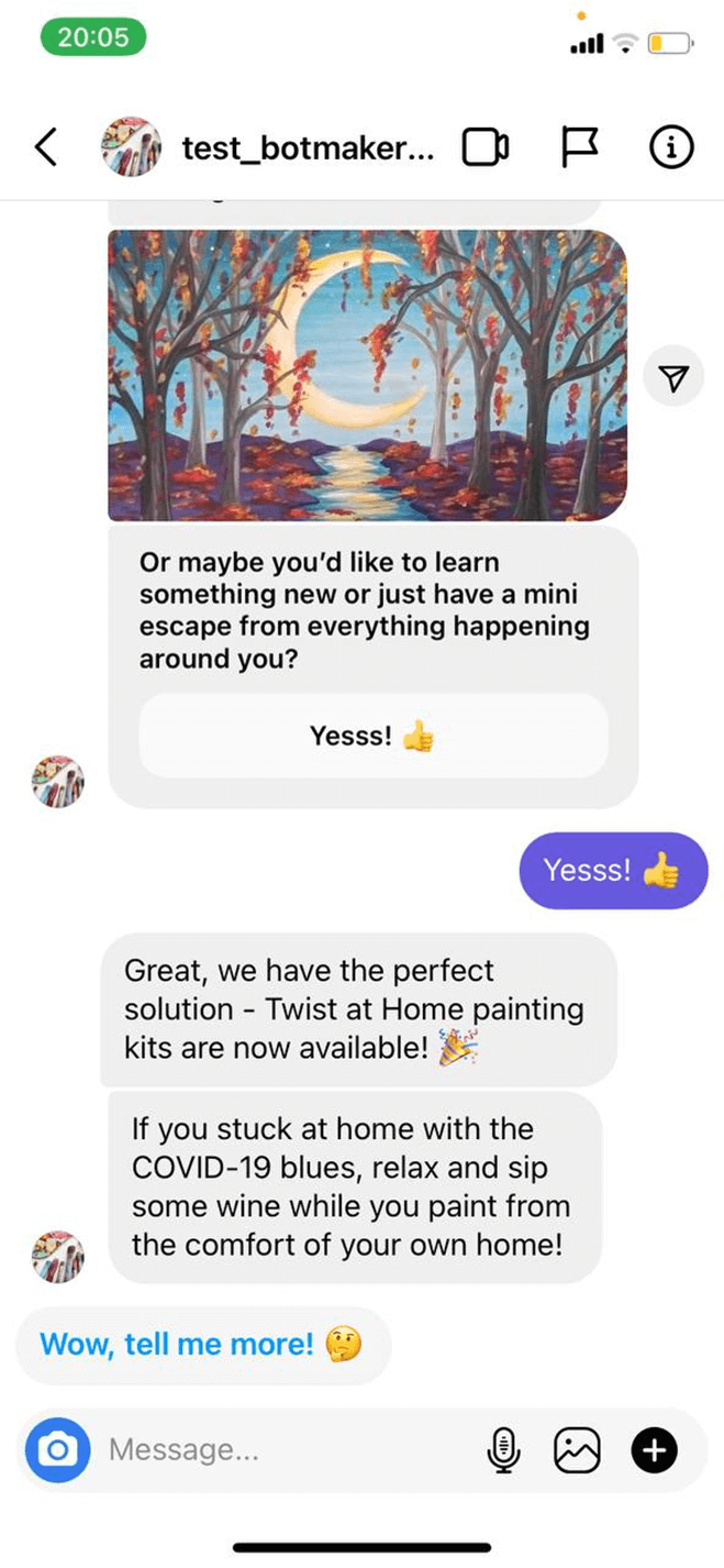 Instagram Bot for Art Studios Messenger bot screenshot